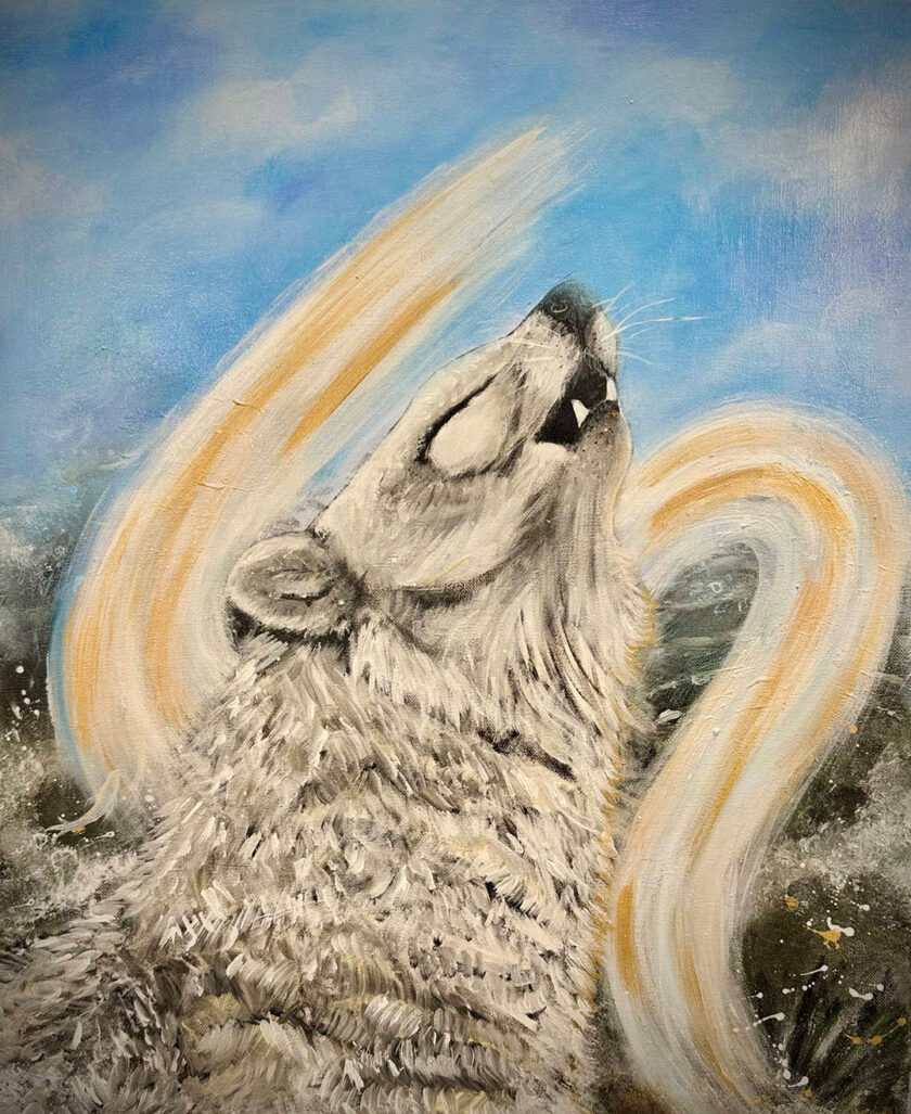 Echo of the Wild